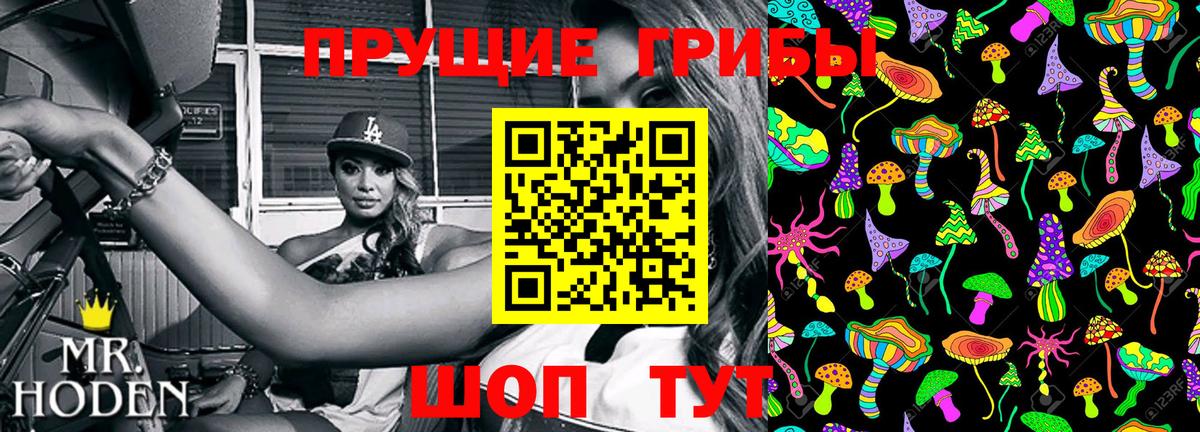 Урус-Мартан  купить наркоту  Псилоцибиновые грибы GOLDEN TEACHER  Вход с VPN  Галлюциногенные грибы Psilocybine cubensis 